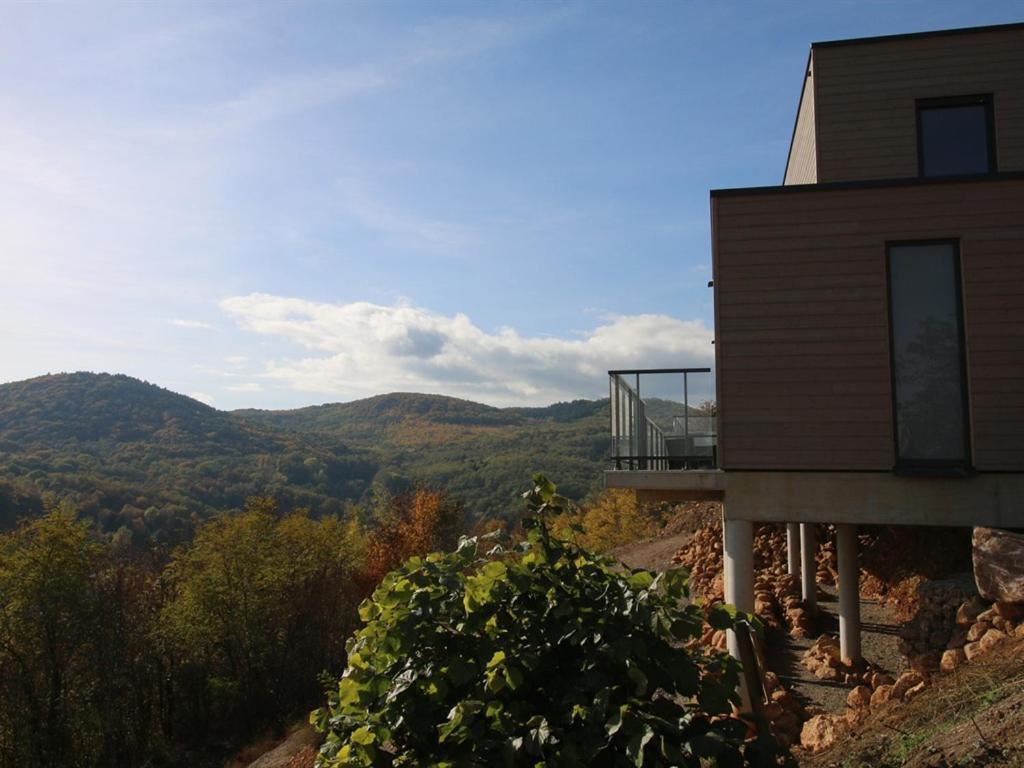 Alsace Panorama Villa Barr Exterior photo